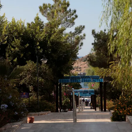 Cactus Mirage Family Club منتجع