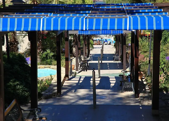 Cactus Mirage Family Club Resort 4*