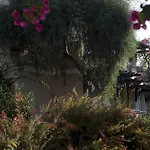 Cactus Mirage Family Club リゾート ボドルム