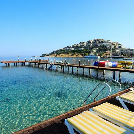 Cactus Mirage Family Club 리조트 4*